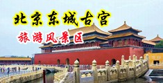 三级俺来也传媒啊啊91中国北京-东城古宫旅游风景区
